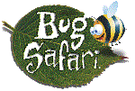 Bug safari logo