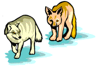 drawing of wolves
