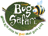 Bug Safari Logo